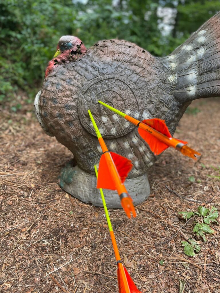 451059301_3303973873080929_1507853608629453851_n