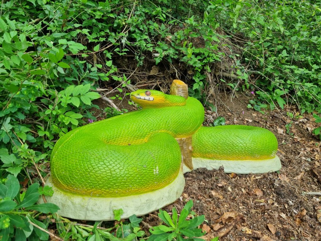 26_grüne Mamba