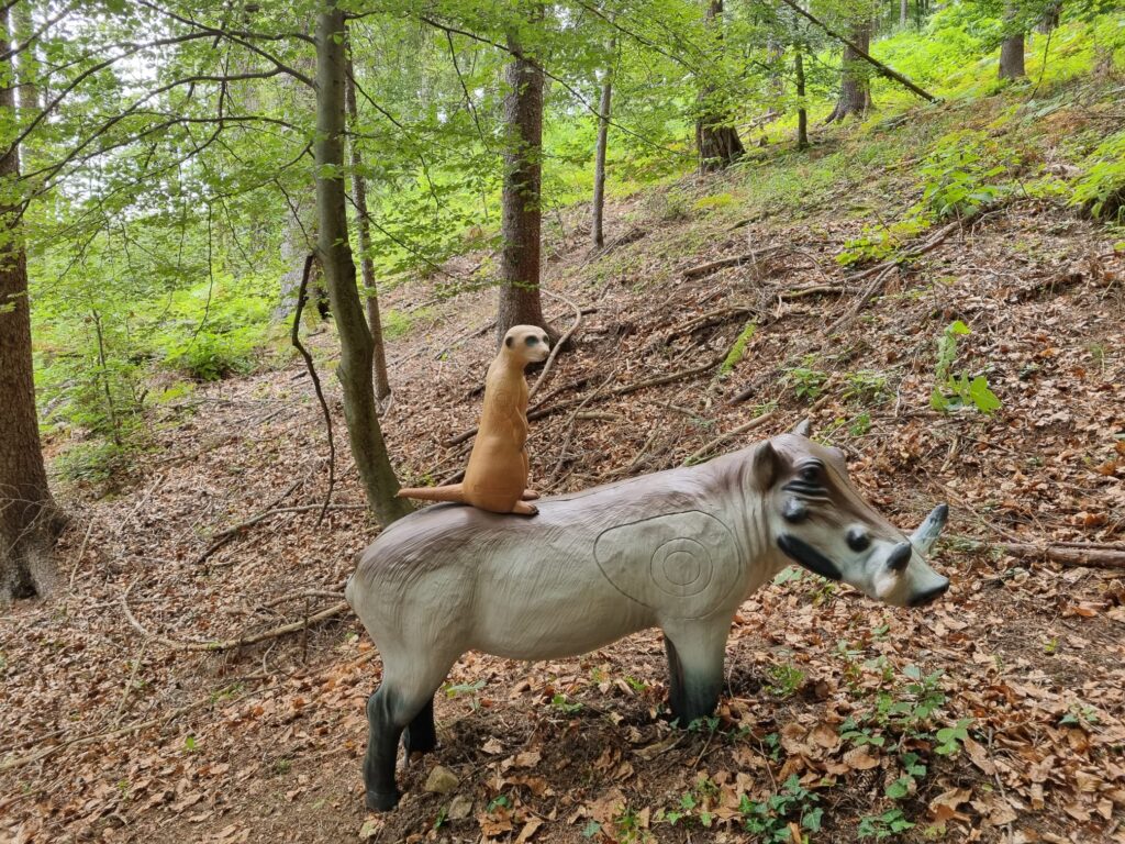 37_Timon und Pumbaa